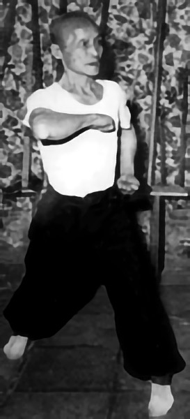 Master Zhou Biao in Kung Fu Pose